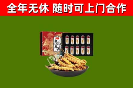 运城回收冬虫夏草价格